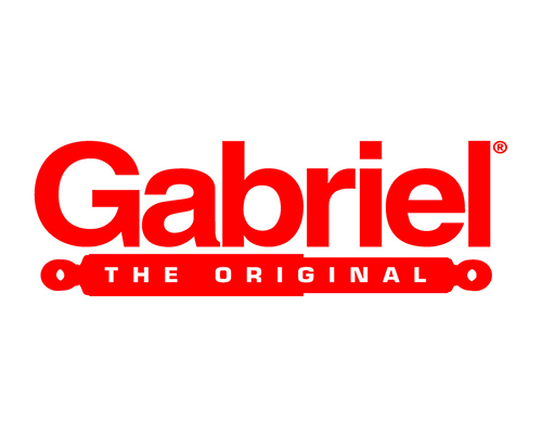 Gabriel shocks and suspension