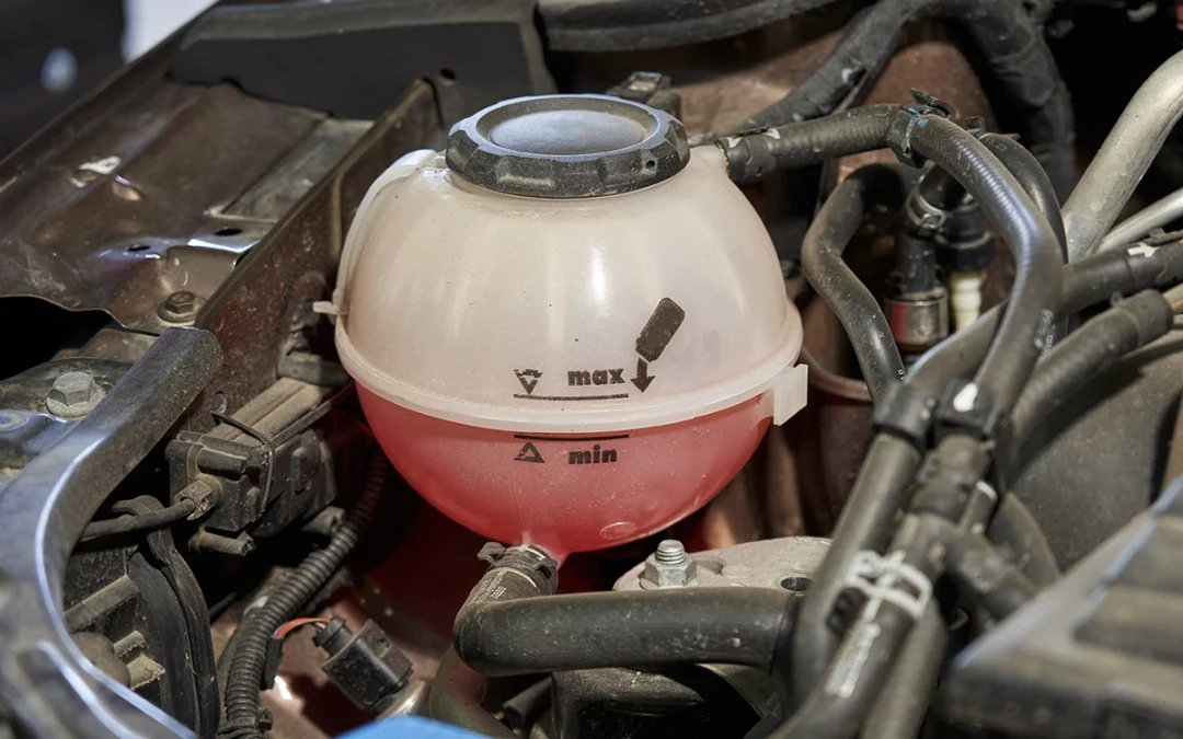 Engine Coolant Explained: A Bega Valley Winter Guide